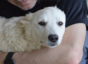 Sadye - Liebevolle Zuwendung....