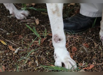 Argo - hungrig auf Leben und Er-Lebnisse