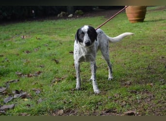 Flicka - möchte noch viel erleben