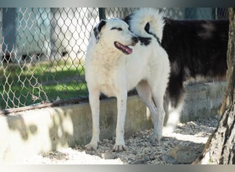Marni - Bereit für ihr eigenes kleines Glück
