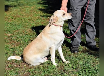 Hughie - macht ein Freundschaftsangebot