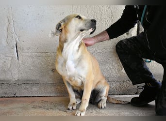 Oxira - Aus «wollen» wird «können»