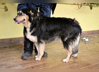 Oliverio - ohne Anklage hinter Gittern