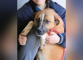 Sunitha - Drei Leben. Drei Chancen.