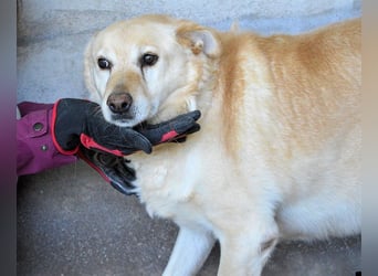 Addison - lange sitzen sie schon da und haben es schwer