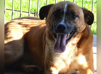 Sunitha - Drei Leben. Drei Chancen.