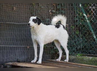 Marni - Dieses Herz hat schon zu lange gewartet