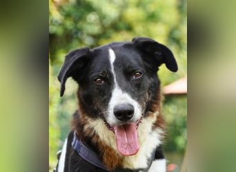 Coraggio - Schritt für Schritt ins Leben zurück