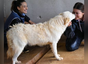 Sadye - Liebevolle Zuwendung....