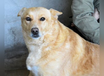 Ariana - lange sitzen sie schon da und haben es schwer