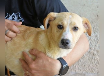 Rodrigue - Ein Anfang, der nie kam