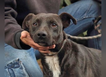 Rhino - NOTFALL !!! - Wenn man nicht auffällt, geht man unter