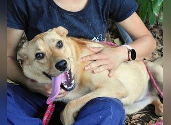 Lilyrose - als kleine Muschel ins Glück!