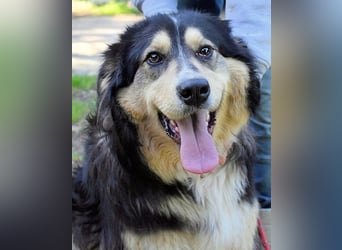 Oliverio - ohne Anklage hinter Gittern