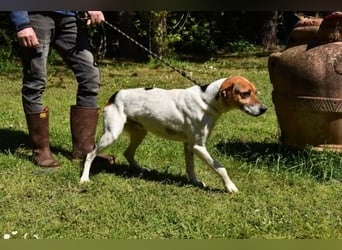 Kamyll - Findet er Sie...