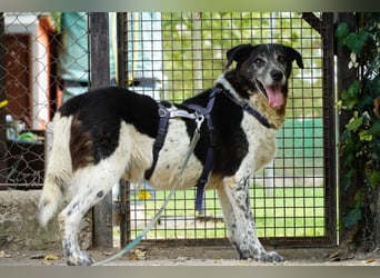 Cambiamento - lasst uns sein Leben verändern