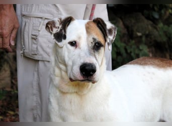 Argo - hungrig auf Leben und Er-Lebnisse