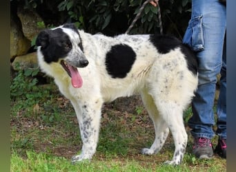 Jasmine - Wer nicht neugierig ist, erfährt nichts!