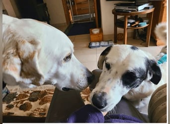 Marni - Dieses Herz hat schon zu lange gewartet