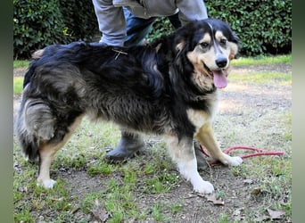Oliverio - ohne Anklage hinter Gittern