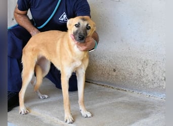 Olympia - "Und wenn sie nicht weg sind....