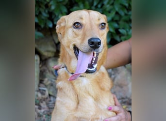 Lilyrose - als kleine Muschel ins Glück!