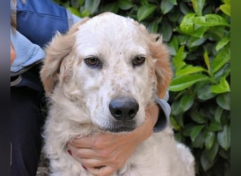 Kastore - Die Welt erkunden!