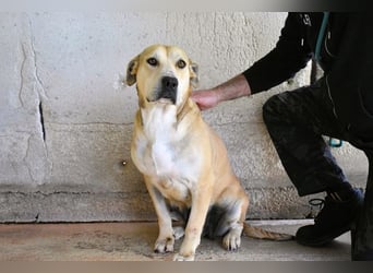 Oxira - Aus «wollen» wird «können»