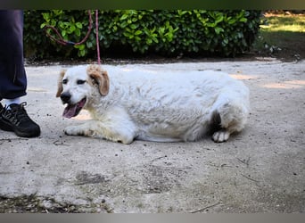 Kastore - Die Welt erkunden!