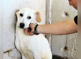 Radford - Ein Anfang, der nie kam