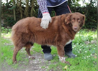 Beckey - Berufswunsch Prinzessin