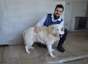 Bailoch - Zeig mir doch bitte...