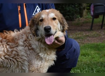 Ligorio - Zwölf, elf, zehn ... eins - Ligorio