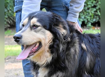 Oliverio - ohne Anklage hinter Gittern