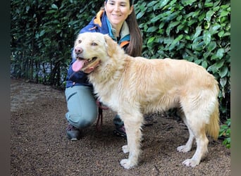 Rodman - läuft sich die Seele wund