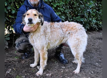 Ligorio - Zwölf, elf, zehn ... eins - Ligorio