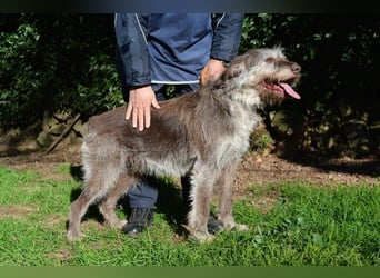 Minnie - Nach 7 Jahren Unglück endlich 7 Jahre Glück?