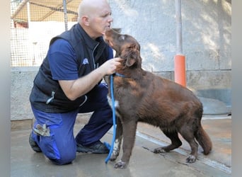 Beckey - Berufswunsch Prinzessin