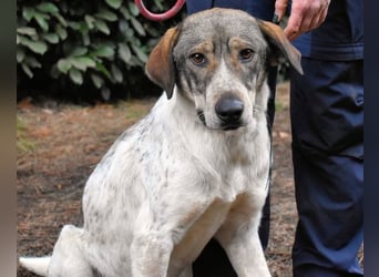 Helder - spricht für sich