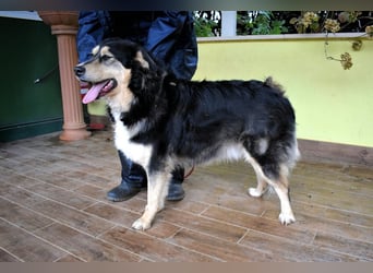 Oliverio - ohne Anklage hinter Gittern