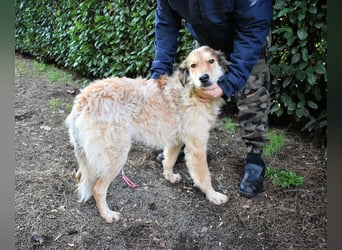 Ligorio - Zwölf, elf, zehn ... eins - Ligorio