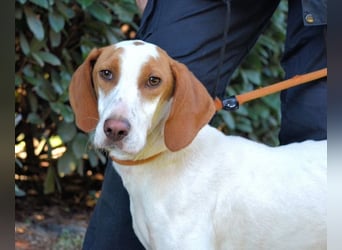 Samarie - Abenteuerlust und Kuschelzeit