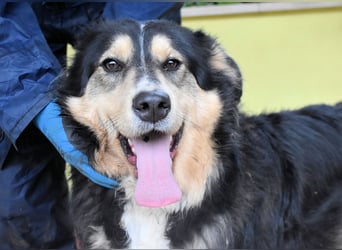 Oliverio - ohne Anklage hinter Gittern