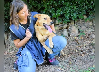 Lilyrose - als kleine Muschel ins Glück!