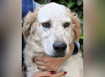 Kastore - Die Welt erkunden!