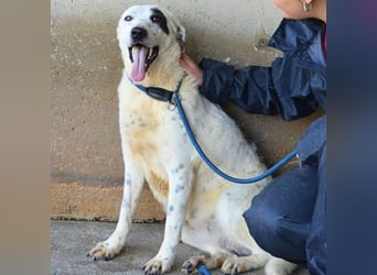 Arunny - aller guten Dinge sind drei