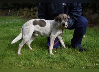 Helder - spricht für sich