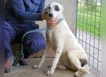 Arunny - aller guten Dinge sind drei