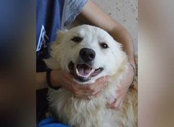 Sadye - Liebevolle Zuwendung....