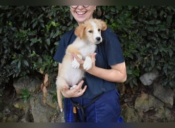 Marula - ...und Mama konnte es dir nicht zeigen
